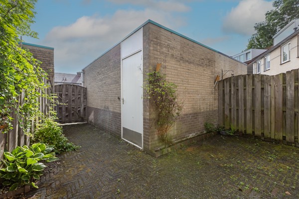 Tuin 2.jpg